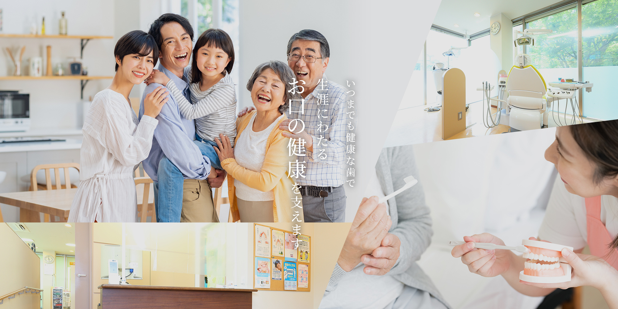 いつまでも健康な歯で 生涯にわたるお口の健康を支えます